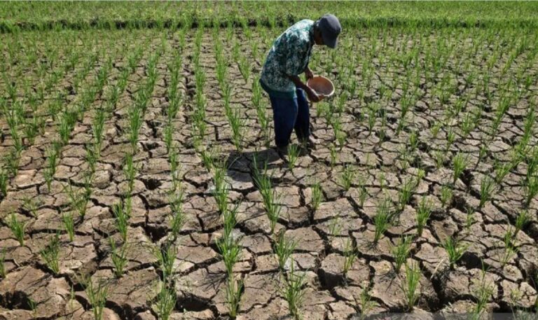 drought